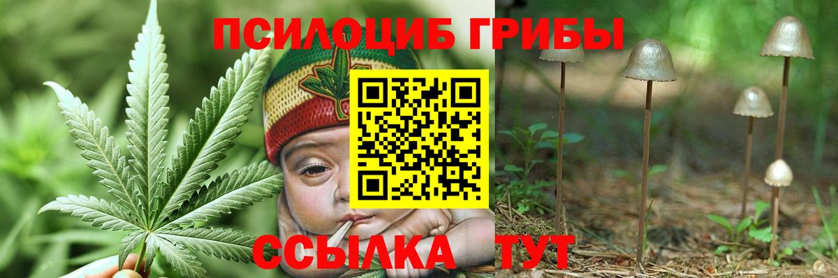 Псилоцибиновые грибы Magic Shrooms  Вход с VPN  Галлюциногенные грибы GOLDEN TEACHER  Донецк 